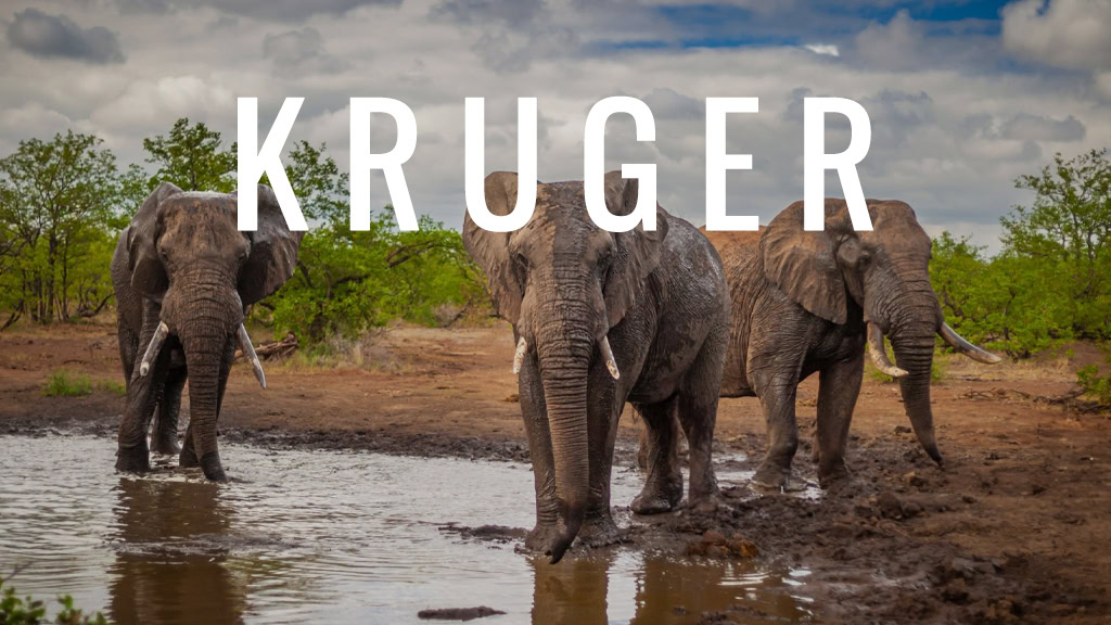 The Garden Route 9 Day Tour