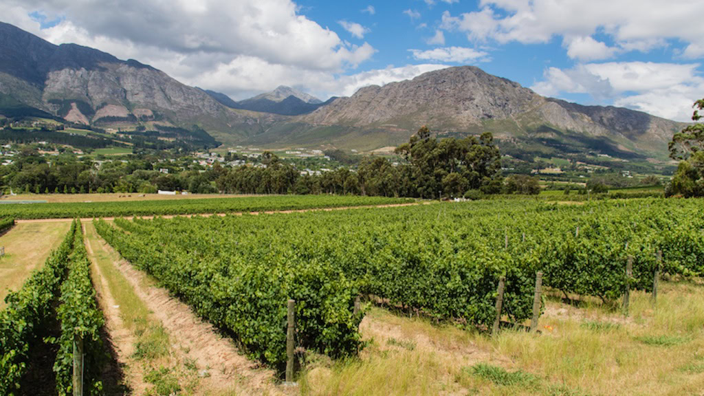 GS Africa Garden Route 62 Tour 010