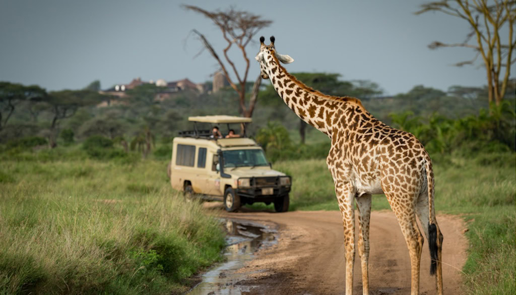GS Africa Garden Route 62 Tour 07
