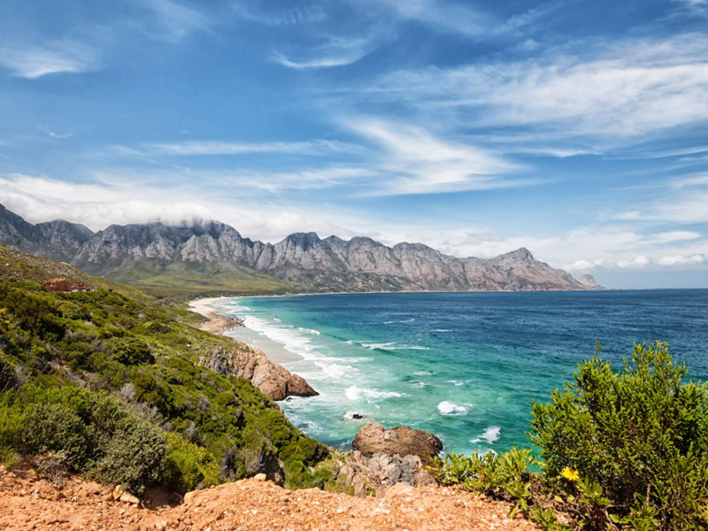 12 Day Garden Route