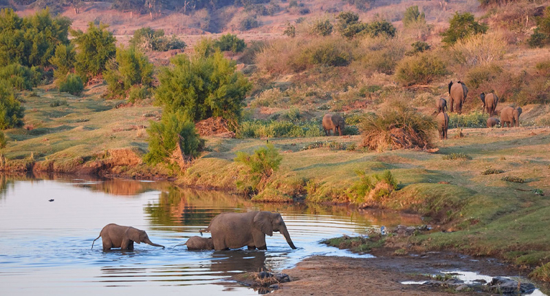 21 Day Cape Town to Kruger National Park Tour