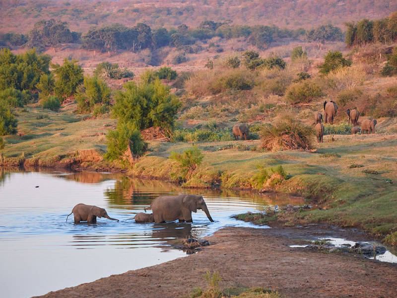 21 Day Cape Town to Kruger National Park Tour