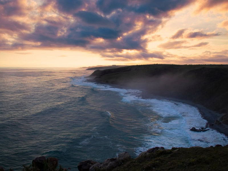 Morgan Bay 01