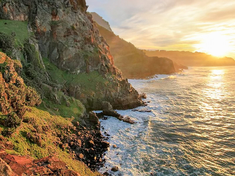 Morgan Bay 02