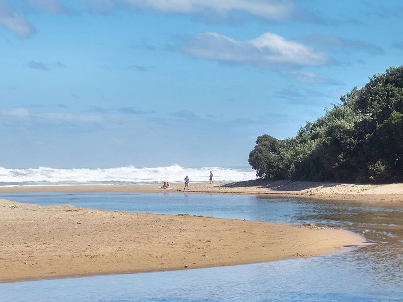 Morgan Bay 03