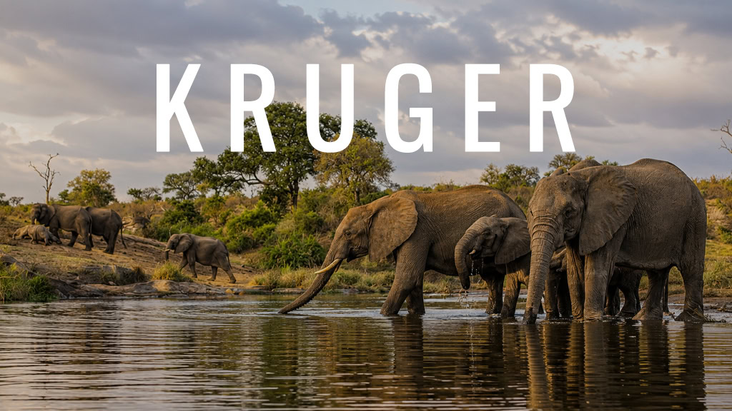 Kruger