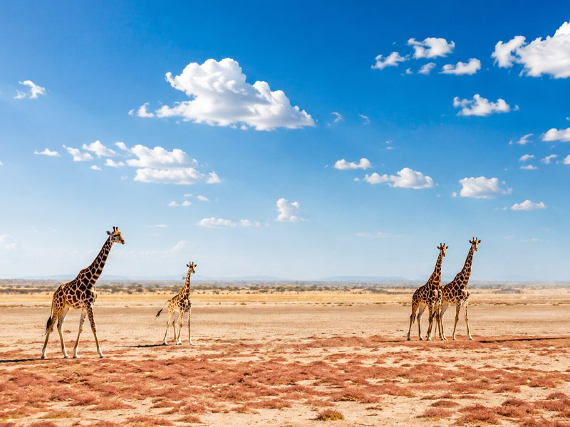 Etosha