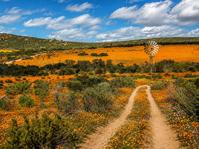 Namaqualand