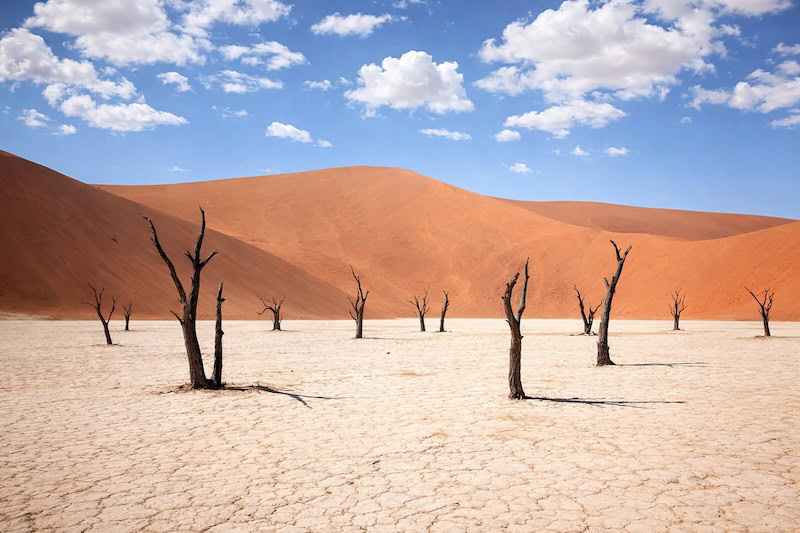 Namibia Tour