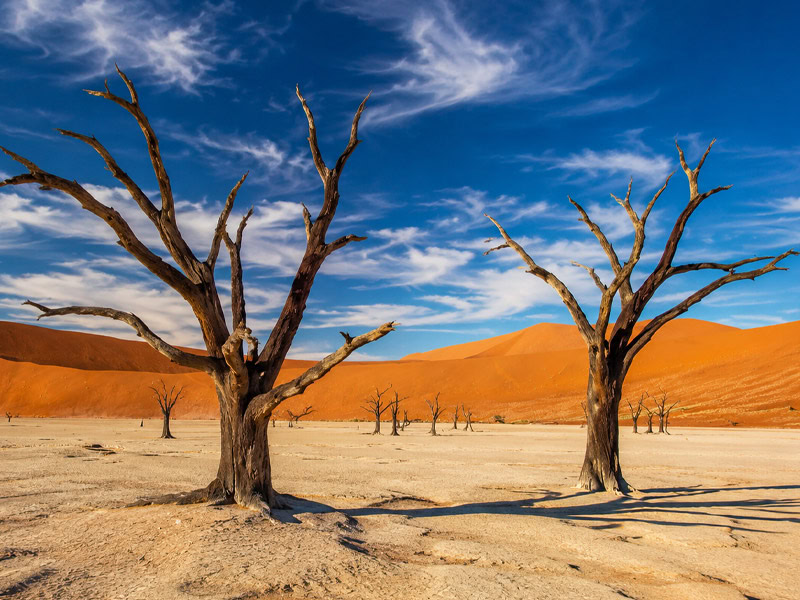 Sossusvlei